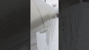 Наконец зима? Прогулка с птичкой, вокруг дома. Начали ремонт бани.