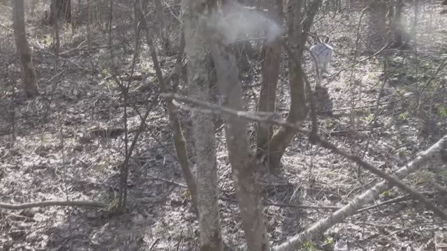 Нагонка. смотреть онлайн