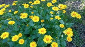 Удобства требуют сил, до и после.