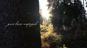 посев и жатва