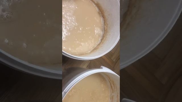 Тест бесплатного пробиотика для биофлока смотреть онлайн