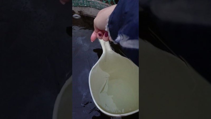 Здравствуй, Дедушка Мороз!