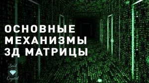 ОСНОВНЫЕ МЕХАНИЗМЫ 3Д-МАТРИЦЫ.