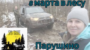 Маршрут из деревни Парушино (08.03.2025)
