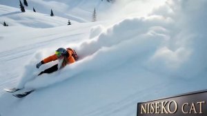 Niseko-born Cat's Backcountry Skiing at ParkCity Turns Into Chaos