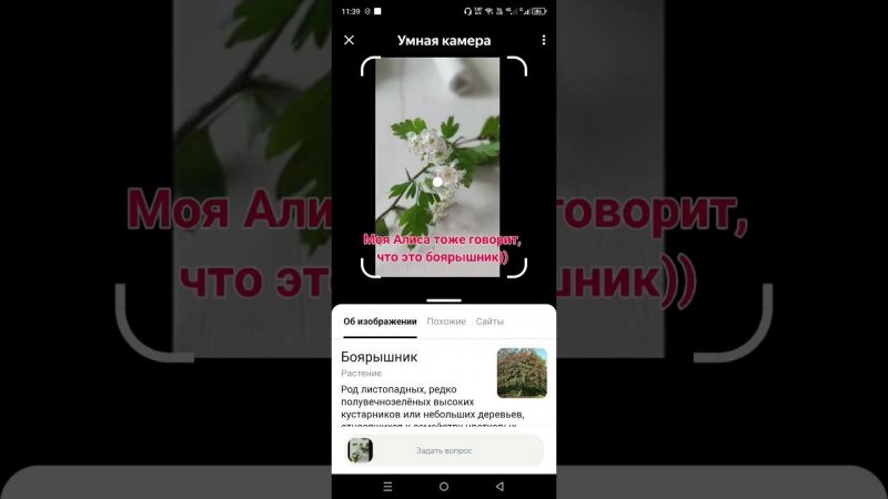 26 апреля 2024 г.