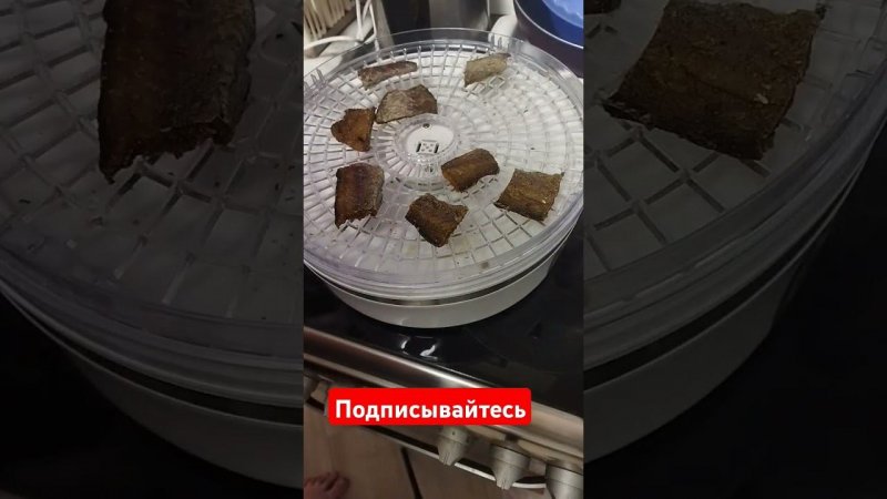 Минтай в электросушилке к пиву #сушка #дегидратор #полезныйперекус #белок #вкуснота #накормисемью