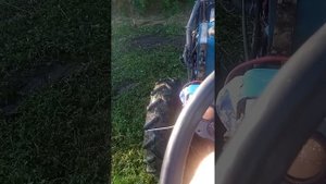 Tz-4k-14 с самодельной косилкой