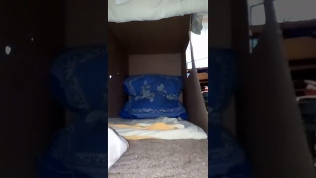 Обустраеваем мини дом смотреть онлайн