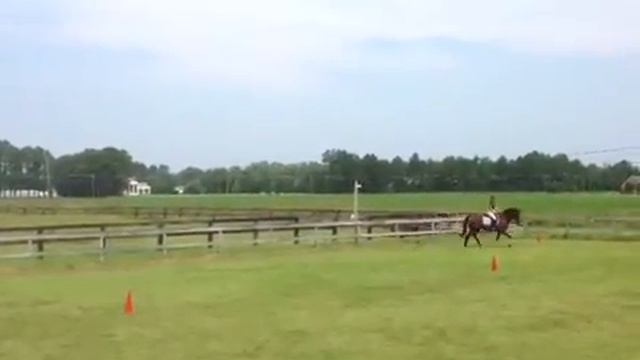 Miss Freya смотреть онлайн