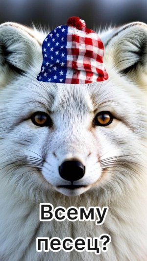 Всем песец?