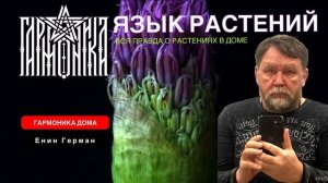 Язык растений. Гармоника. Енин Герман.