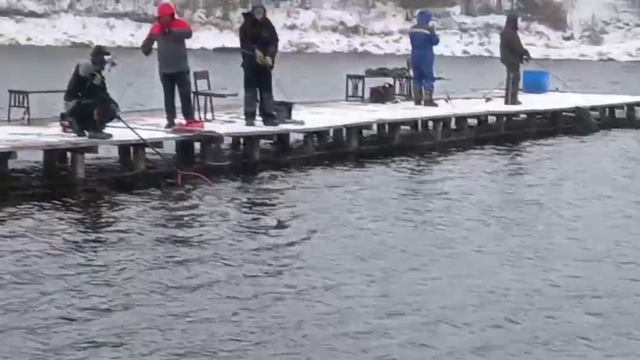 -7510571161444047809