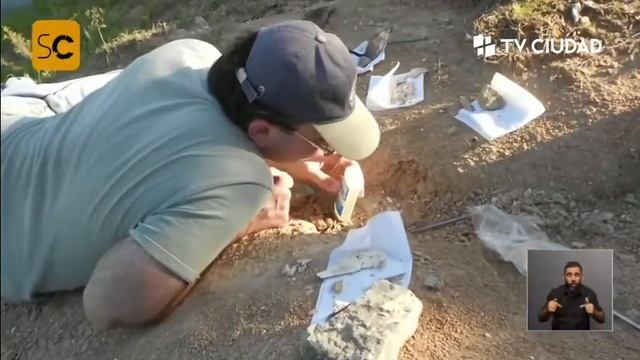 FOSSIL COELACANTHS FROM URUGUAY TO THE WORLD (interview in 'Sobreciencia' 2021) - ENGLISH SUBTITLES