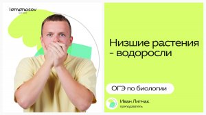 Низшие растения - водоросли | ОГЭ 2025 по Биологии