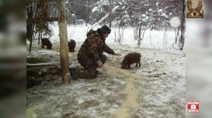 Егерь его права и обязанности