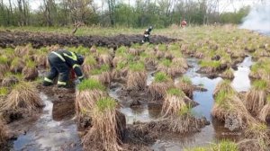 Огнеборцы ликвидировали пожар у села Новокуровка Хабаровского района