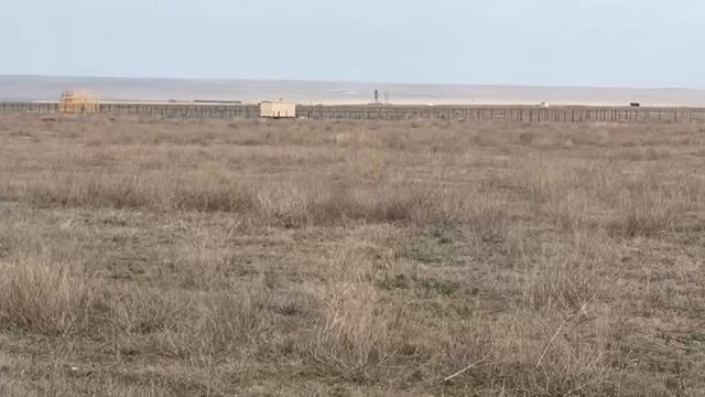 Участки Новоозерное.