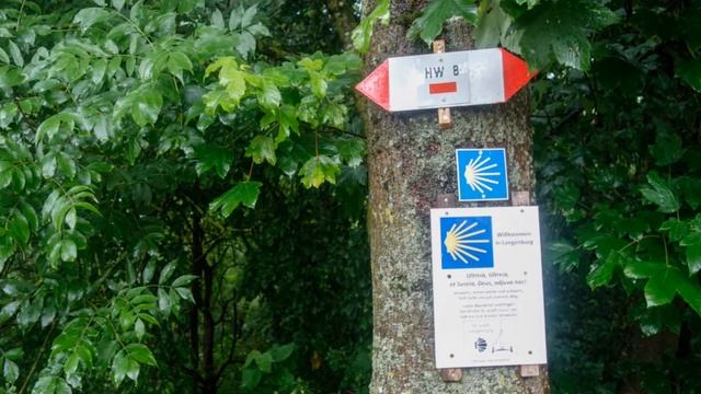 From Schrozberg to Langenburg смотреть онлайн