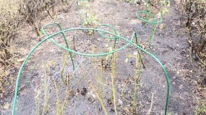 Век живи, век учись..