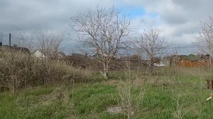 Участок пос. Красный Сад Ростовская обл.