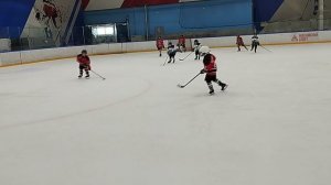 центр акулы серебряный век 17