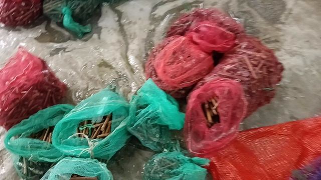 Прививки почкой на Коббер 5бб на саженцы, 04.04.25г. Виноградник Король В. Н. г.Краснодар смотреть онлайн