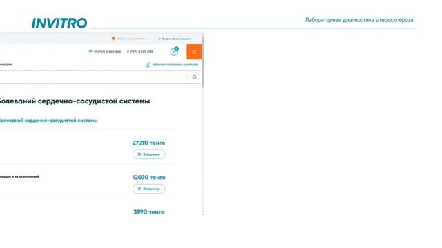 Проба анимации 5 смотреть онлайн