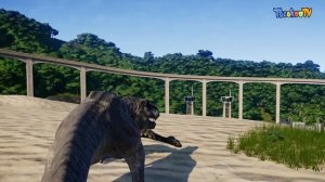 Tyrannosaurus Rex Vs Indoraptor,  I-Rex, Nasutoceratops And More...  - Jurassic World Evolution