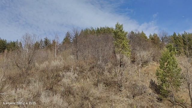 Ледоход 6 Апреля 2025