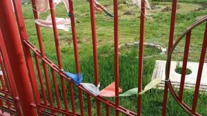 Элиста. Загадай желание!