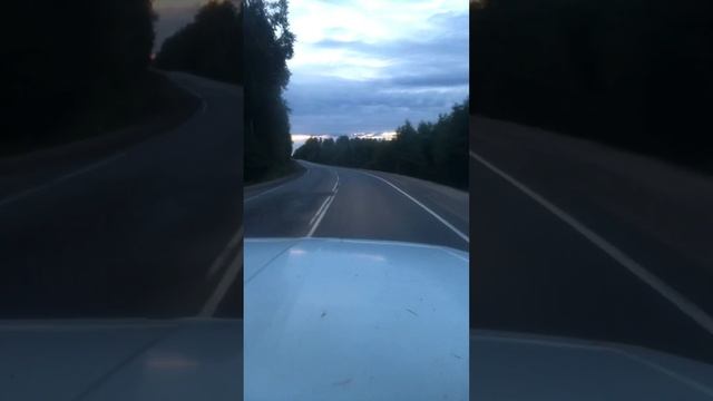 Везём сено в Струги Красные