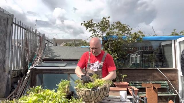 Planting up Hanging baskets with built in water retention