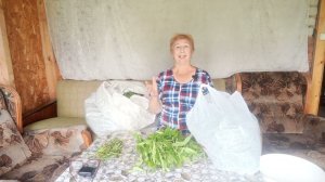 Такой чаёк мы заготавливаем каждый год.