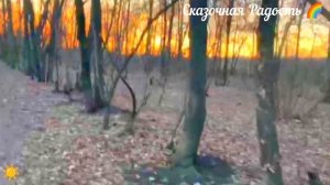 Прогулка вечером. Природа впечатляет 😍 Кировский район. Саратов