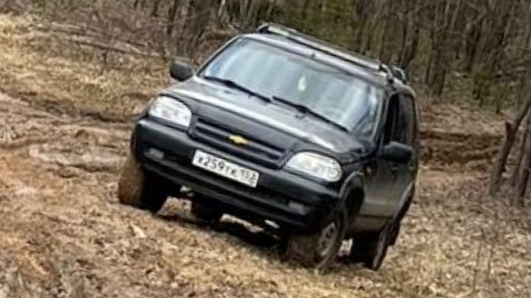 Покатушки на шниве