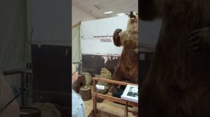 Видео с музея города.