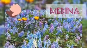 Эне жонундо ырлар