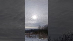 Продолжаем расчистку участка.