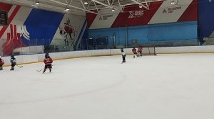 центр акулы серебряный 17