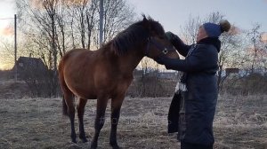 Марина Чен в Конерадость 05.04.25