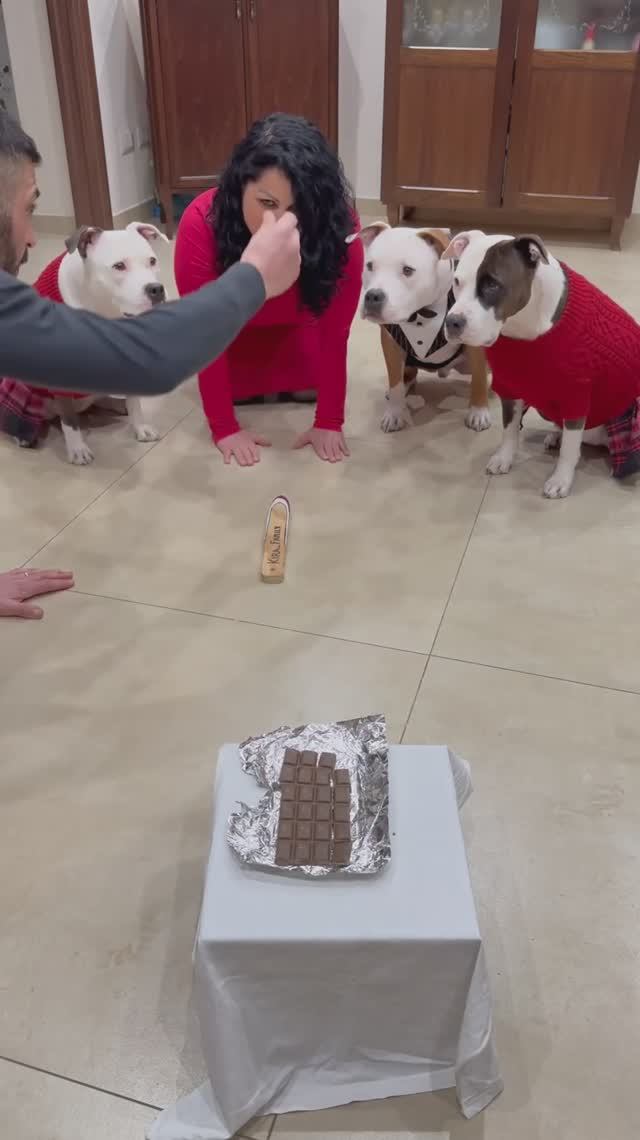 Обучение и Дрессировка ЖЕНЫ