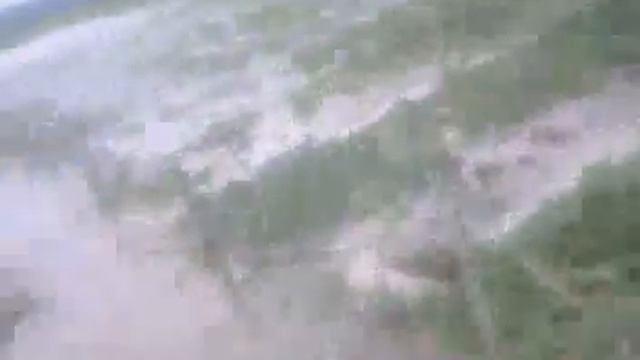 Такого сбора кабачка вы еще никогда не видели!