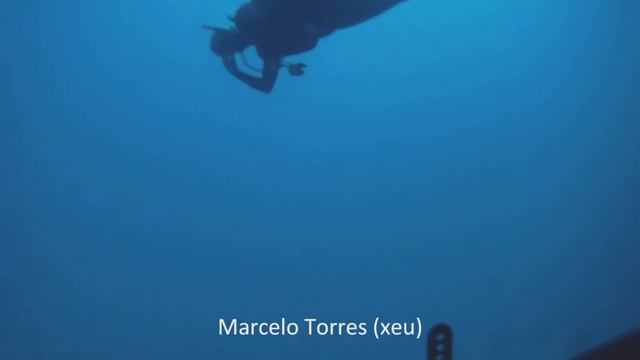 Mergulhadores do Ceará no Ponto Farinhada - Profundo смотреть онлайн