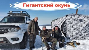 Гигантский окунь! ОРОН 2025