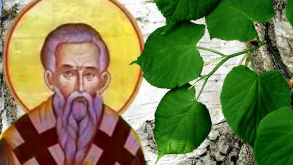11 апреля обнимите берёзу и расскажите ей свою боль