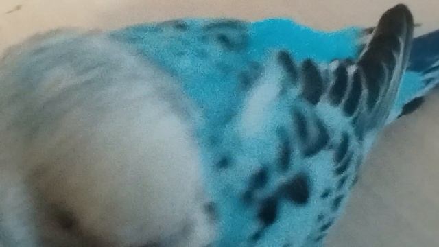 Тоша что-то заподозрил. . .