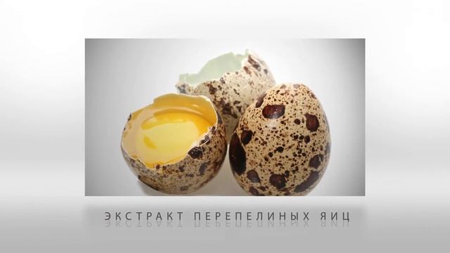 Презентация Регенерирующий крем Герцина смотреть онлайн