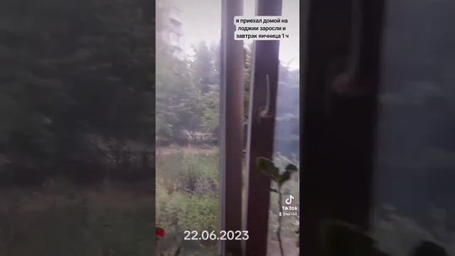 я дома на лоджии всё красиво и у меня мукбанг смотреть онлайн