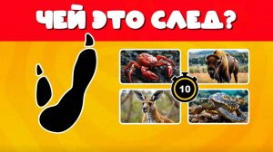 УГАДАЙ 30 ЖИВОТНЫХ ПО ИХ СЛЕДАМ